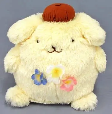 Plush - Sanrio / Pom Pom Purin