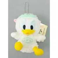 Plush - Disney / Donald Duck