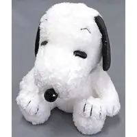 Plush - PEANUTS / Snoopy