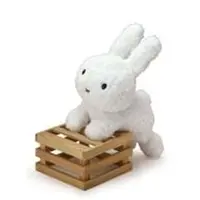 Plush - miffy / Miffy