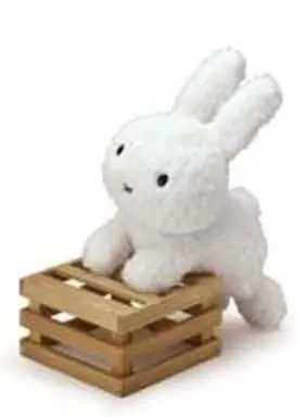 Plush - miffy / Miffy