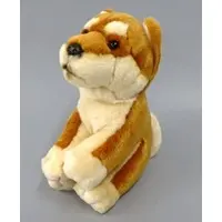 Plush - Dog