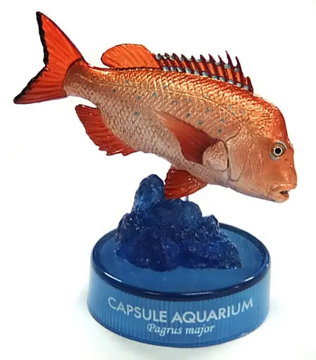 Trading Figure - Capsule Aquarium