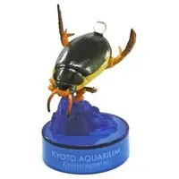 Trading Figure - Japan Aquariums