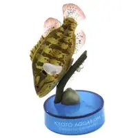 Trading Figure - Japan Aquariums