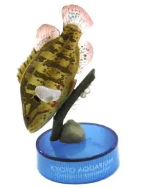 Trading Figure - Japan Aquariums