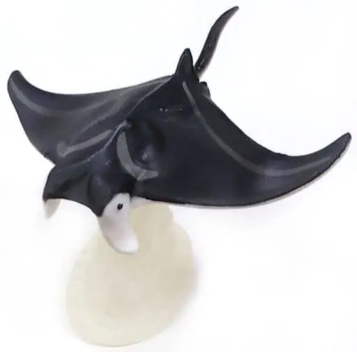 Trading Figure - Earth Life Journey / Giant oceanic manta ray