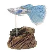 Trading Figure - Digital Grade Tropical Fish