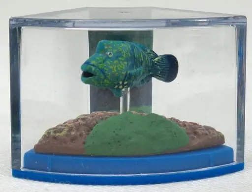 Trading Figure - Okinawa Churaumi Aquarium