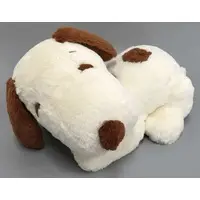 Plush - PEANUTS / Snoopy