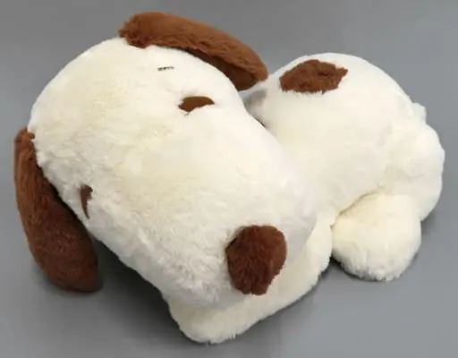 Plush - PEANUTS / Snoopy