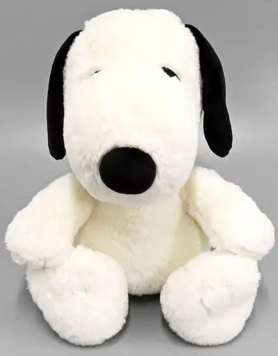 Plush - PEANUTS / Snoopy