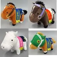 Plush - Thoroughbred collection