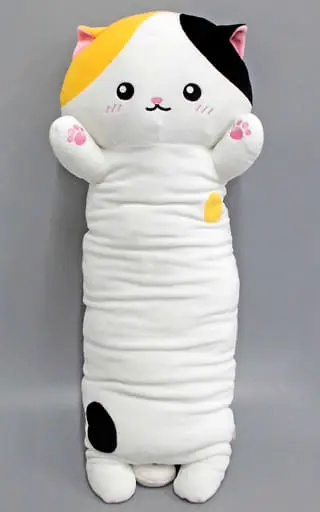 Plush - Cat