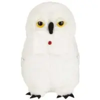 Plush - Harry Potter Series / Hedwig (Harry Potter)