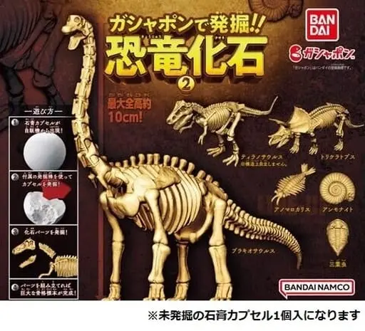 Trading Figure - Dinosaur fossil