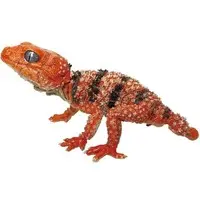 Trading Figure - Central rough knob-tailed gecko & Armadillo girdled lizard