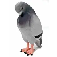 Trading Figure - Tsukarekitta Pigeon