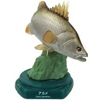 Trading Figure - Japan Aquariums