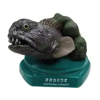 Trading Figure - Japan Aquariums