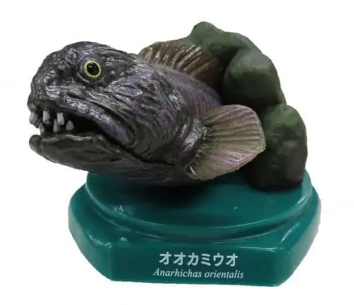 Trading Figure - Japan Aquariums