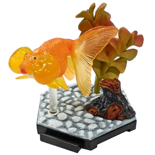 Trading Figure - Goldfish