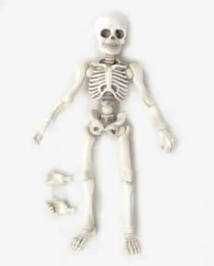 Trading Figure - Pose Skeleton