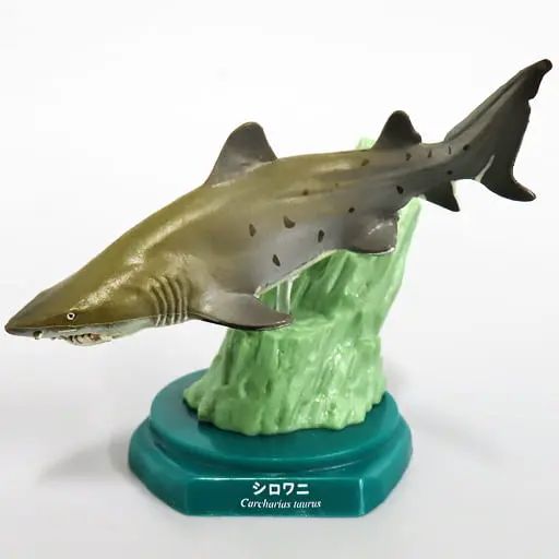 Trading Figure - Japan Aquariums