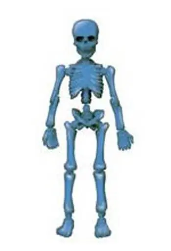 Trading Figure - Pose Skeleton