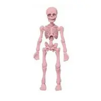 Trading Figure - Pose Skeleton