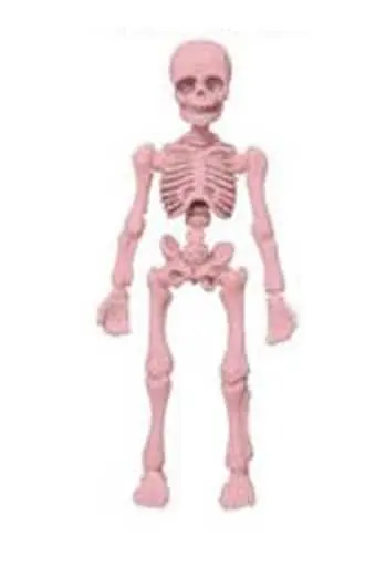 Trading Figure - Pose Skeleton