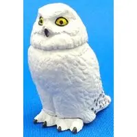 Trading Figure - Owl
