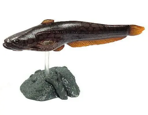 Trading Figure - Freshwater Fishes