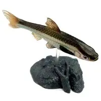 Trading Figure - Freshwater Fishes