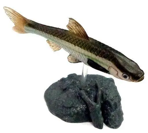 Trading Figure - Freshwater Fishes