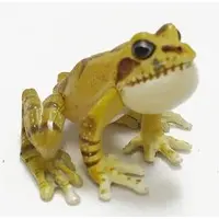 Trading Figure - Primary Color Amphibian Frog Encyclopedia