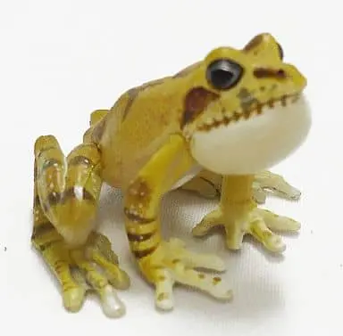 Trading Figure - Primary Color Amphibian Frog Encyclopedia