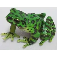 Trading Figure - Primary Color Amphibian Frog Encyclopedia