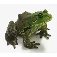 Trading Figure - Primary Color Amphibian Frog Encyclopedia