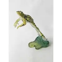 Trading Figure - Primary Color Amphibian Frog Encyclopedia