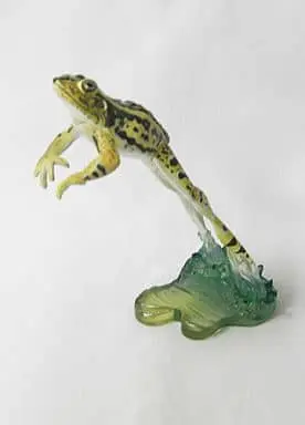 Trading Figure - Primary Color Amphibian Frog Encyclopedia