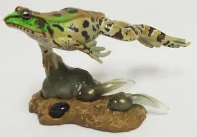 Trading Figure - Primary Color Amphibian Frog Encyclopedia