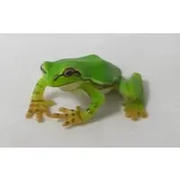 Trading Figure - Frog