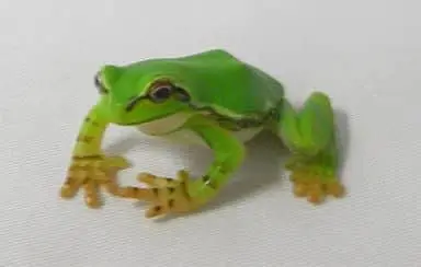 Trading Figure - Frog