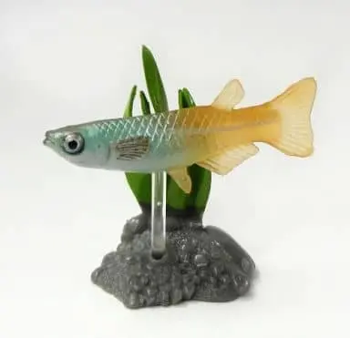 Trading Figure - Freshwater Fishes