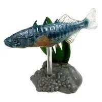 Trading Figure - Freshwater Fishes