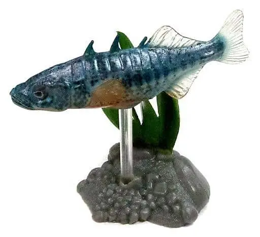 Trading Figure - Freshwater Fishes