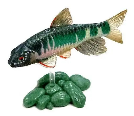 Trading Figure - Freshwater Fishes