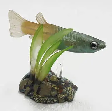 Trading Figure - Freshwater Fishes