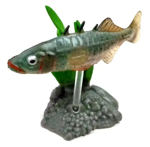 Trading Figure - Freshwater Fishes